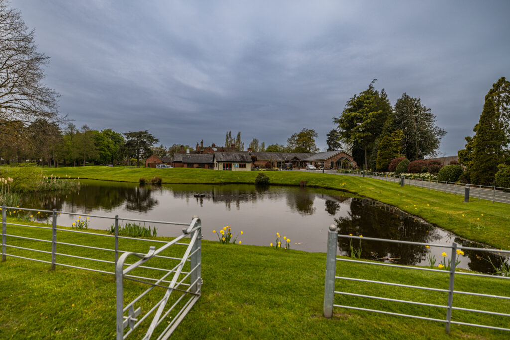 A small pond surrounded by green grass and flowers, with a metal fence in the foreground and a large building and trees in the background under a cloudy sky.