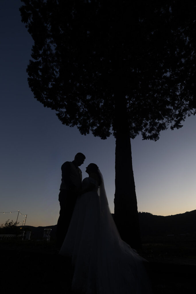 Silhouette of a bride and groom standing under a large tree at dusk, with a darkening sky and distant hills in the background.
